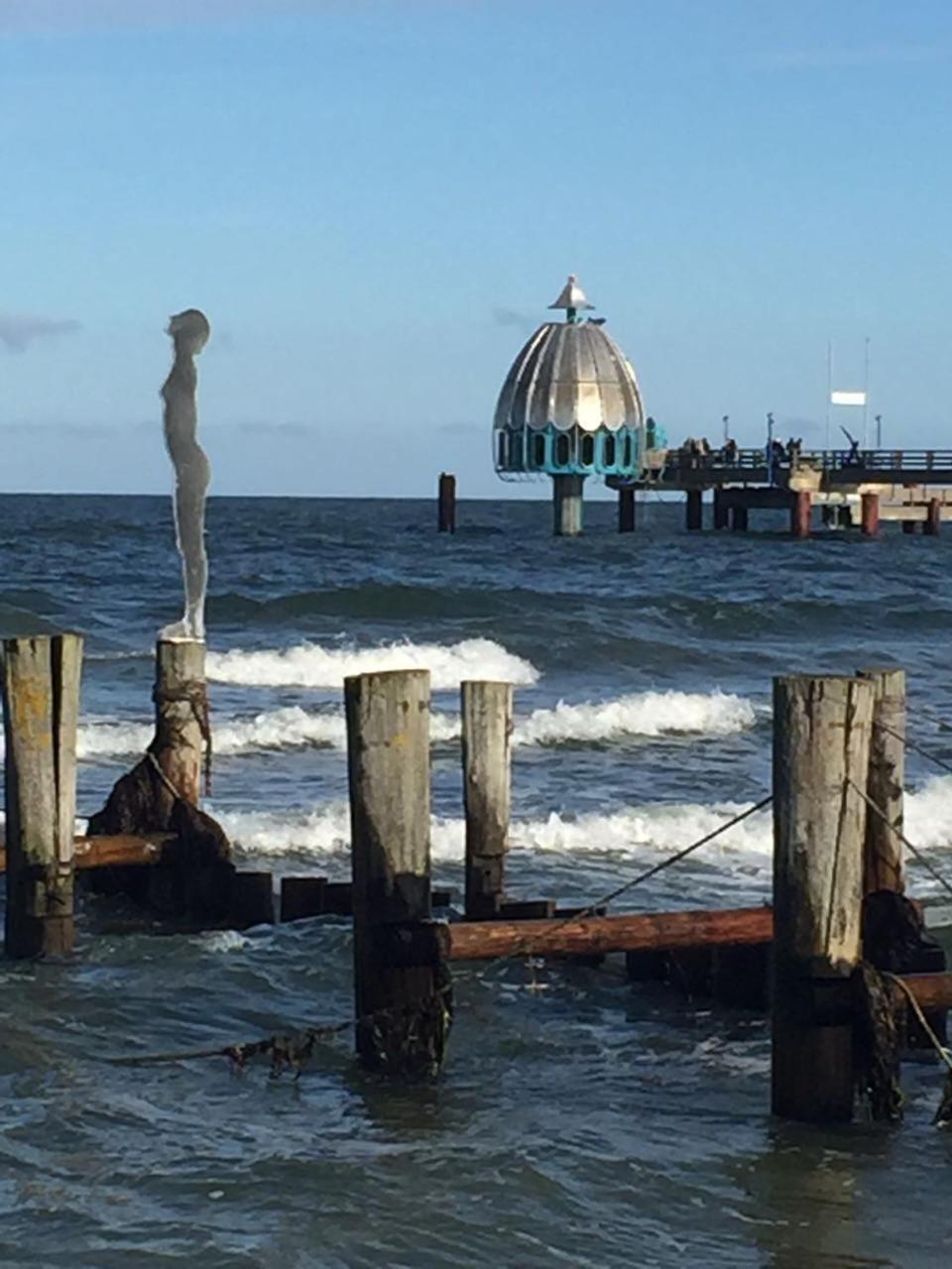 Appartamento Haus Selma Zingst Esterno foto